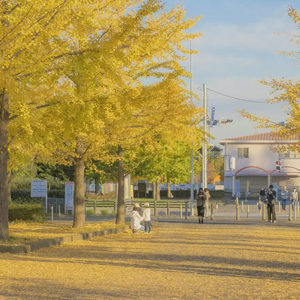 狂揉捏扒开纲手❌3d动漫
