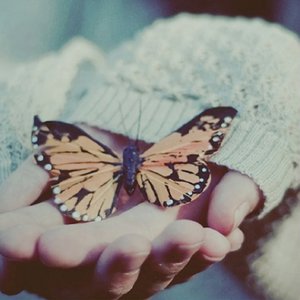 狂揉捏扒开纲手❌3d动漫
